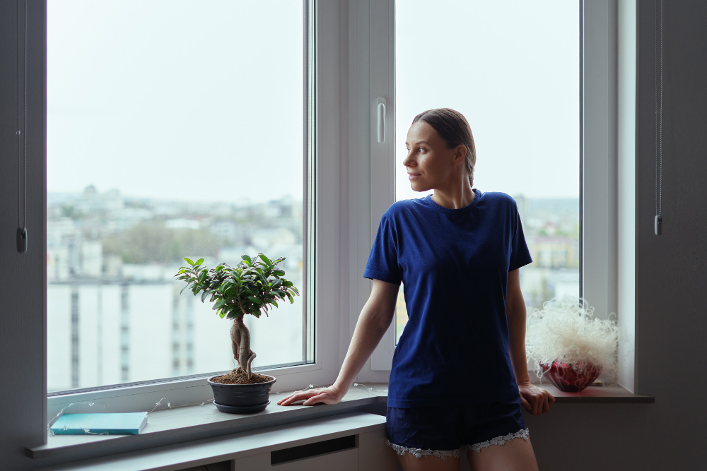 Brookfield Window Styles